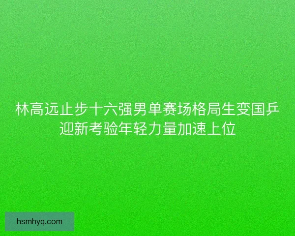 林高远止步十六强男单赛场格局生变国乒迎新考验年轻力量加速上位