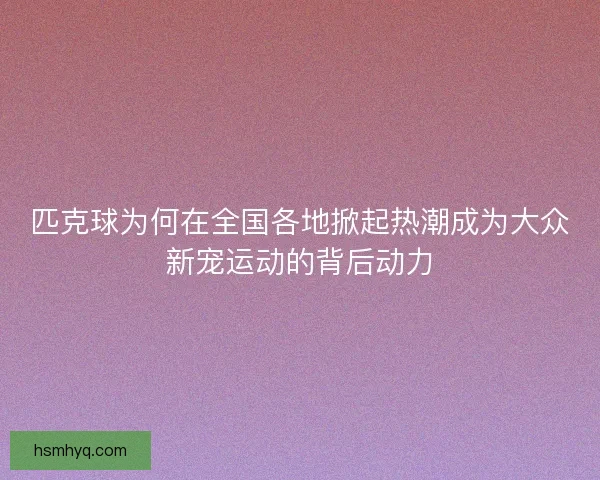 匹克球为何在全国各地掀起热潮成为大众新宠运动的背后动力 匹克球为何在全国各地掀起热潮成为大众新宠运动的背后动力